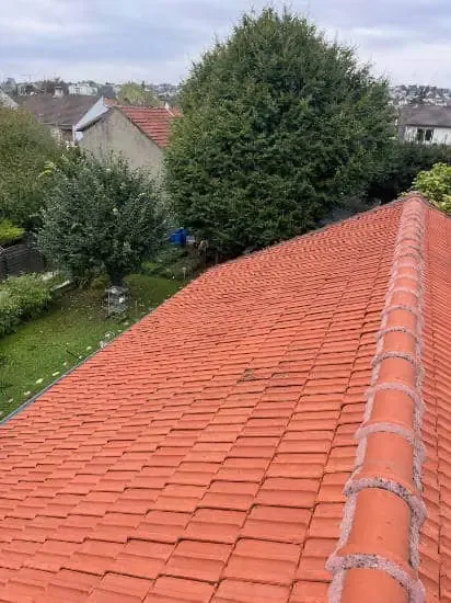 Réalisation Neves Couverture